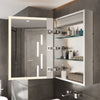 LED Bathroom Mirror Cabinet Rectangle Vanity Cabinet Wall Mirror w/Storage Shelf