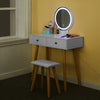 Gift Dressing Table Round LED Mirror Vanity Make up Desk Stool Storage Set