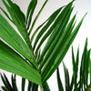 Kentia Palm Artificial Tree 150cm - Realistic plant by Leaf