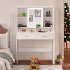 Dressing Table with LED Lights Mirror Drawers Adjustable Rack Vanity Makeup Iznp