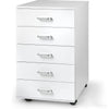 Mobile Filing Cabinet with 5 Drawers Home Office Printer Stand File Organizer