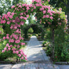 XL Outdoor Metal Garden Arbor Arch Trellis Ornament Climbing Plants Wedding Gate