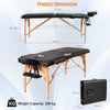 Professional Folding Massage Bed Adjustable Portable Facial Salon Tattoo Spa Bed