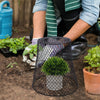 4 Pcs Iron Plant Protection Cover Mesh Chicken Wire Cloche Cage