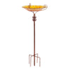 Garden Bird Bath Sunflower Bird Feeder Water Bath SPA Table Feeding Station Yard