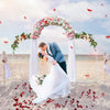 Wedding Party Three-door Arched Frame Flowers Balloon Column Base Backdrop Stand