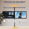 LED Double Head Desk Lamp 24W Foldable Reading Desk Light Dimmable Eye Dxpizelop