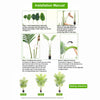 Large Artificial Palm Tree Faux Tropical Aralia Plants Green Natural 160cm 5.2ft
