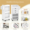Mobile Storage Cabinet Office Craft Utility Cart