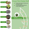 8-Tier Tall Wooden Plant Stand Rack Curved Half Moon Shape Ladder Planter Shelf