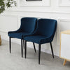 Dining Chairs Set of 2 Modern Kitchen Chairs Velvet Padded Soft Seat