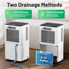 12L/Day Portable Quiet Dehumidifier for Home, Electric Air De-Humidifier UK