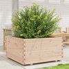 Garden Planter 90x90x49.5 Solid Wood Pine W6J7