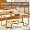Coffee Table Glass 2 Tier Storage Shelf Metal Frame Living Room Gold Home Unit