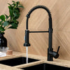 Monobloc Black Kitchen Sink Mixer Taps with Pull Out Hose Spray Single Lever Tap
