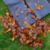 Heavy Duty Waterproof Tarpaulin Tarp Cover 240G Black/Silver Ground Sheet