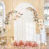 Set of 3 Wedding Arch Backdrop Stand Flower Display Frame Backdrop Metal Rack
