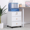 Mobile 3 Drawers Filing Cabinets Printer Stand Pedestal Lockable Bedside Table