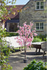 5ft Artificial Cherry Blossom Tree Potted Outdoor Garden Decor Home Pink Large