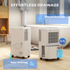 12L/Day Small Dehumidifier for Home Damp, with Humidity Light
