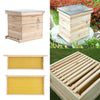 Langstroth/UK Beehive Box Wooden Bee Hive Frames Beekeeping Honey Brood Box Kit