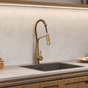 Brush Gold Monobloc Kitchen Sink Mixer Tap with Pull Out Hose Spray Single Lever