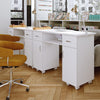 Mobile Professional Manicure Table+Dust Collector Nail Beauty Salon Station Desk