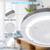 LED Ceiling Fan Light Dimmable Living Room Chandelier Lamp With Remote Control