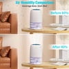 Portable Electric Dehumidifier 1100ml Tank for Home Condensation Moisture Damp