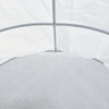 Large Walk-in Greenhouse Poly Tunnel Galvanised Garden Plants Grow Tent 4x3x2M