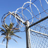 10m Razor Security Barbed Wire Coiled Concertina Type Barb Fence Fencing Garden