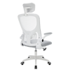 Mesh Home Office Chair Swivel Task Computer Desk Chair w/ Lumbar Support, White