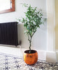 Olive Tree Artificial Large 120cm Natural Style with Olives