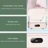 Portable Clothes Dryer&Ironing Machine 360° Steam Disinfection 4h Timer Fast Dry