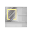 Bathroom Mirror Cabinet With LED Touch Switch Staorage Wall Mounted 2 Door