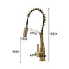 Brush Gold Monobloc Kitchen Sink Mixer Tap with Pull Out Hose Spray Single Lever