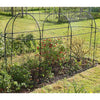Haxnicks Steel Long Fruit Cage With Netting W100cm H150cm L300cm