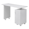 Manicure Table Nail Beauty Salon Station Technician Storage Desk+Dust Collector