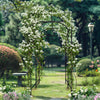 88 Inch Tall Garden Arch Trellis for Climbing Plants Sturdy Iron Rose Vegetable