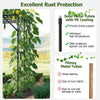 GAINOOM 200x150x197CM Black Tall Grape Vine Support Large Garden Arch Trellis