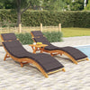 Loungers 2 pcs, Recliner Garden Chair for Outdoor, Sunbed with Dark Grey U8W3