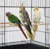 Large Wide Bird Cage Flight Cage Breeding Cage for Small Parrots/Budgie/Lovebird