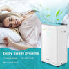 25L/Day Dehumidifier Electric Air De-Humidifier Portable Quiet Dehumidifier Home