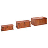 Storage Chests 3 pcs Solid Acacia Wood vidaXL