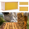 2/3/4Tier Langstroth Honey Beehive Box Beekeeping,Honeycomb Foundation Frame Set