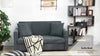 Convertible 2 Seater Sofa Bed with 2 Cushions Storage for Living Room Dark Grey