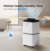 Wheeled Home 12L Dehumidifier For Mould And Moisture Extraction 25㎡ Quiet 36dB