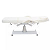 Electric Massage Table 3 Section Adjustable Bed Couch Beauty Salon Tattoo Chair