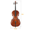 Natural Color Spruce Cello Panel with Tiger Pattern Bag Bow Rosin Strings