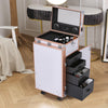 Foldable Artist Make Up Station Cosmetic Beauty Hairdresser Trolley Case Table
